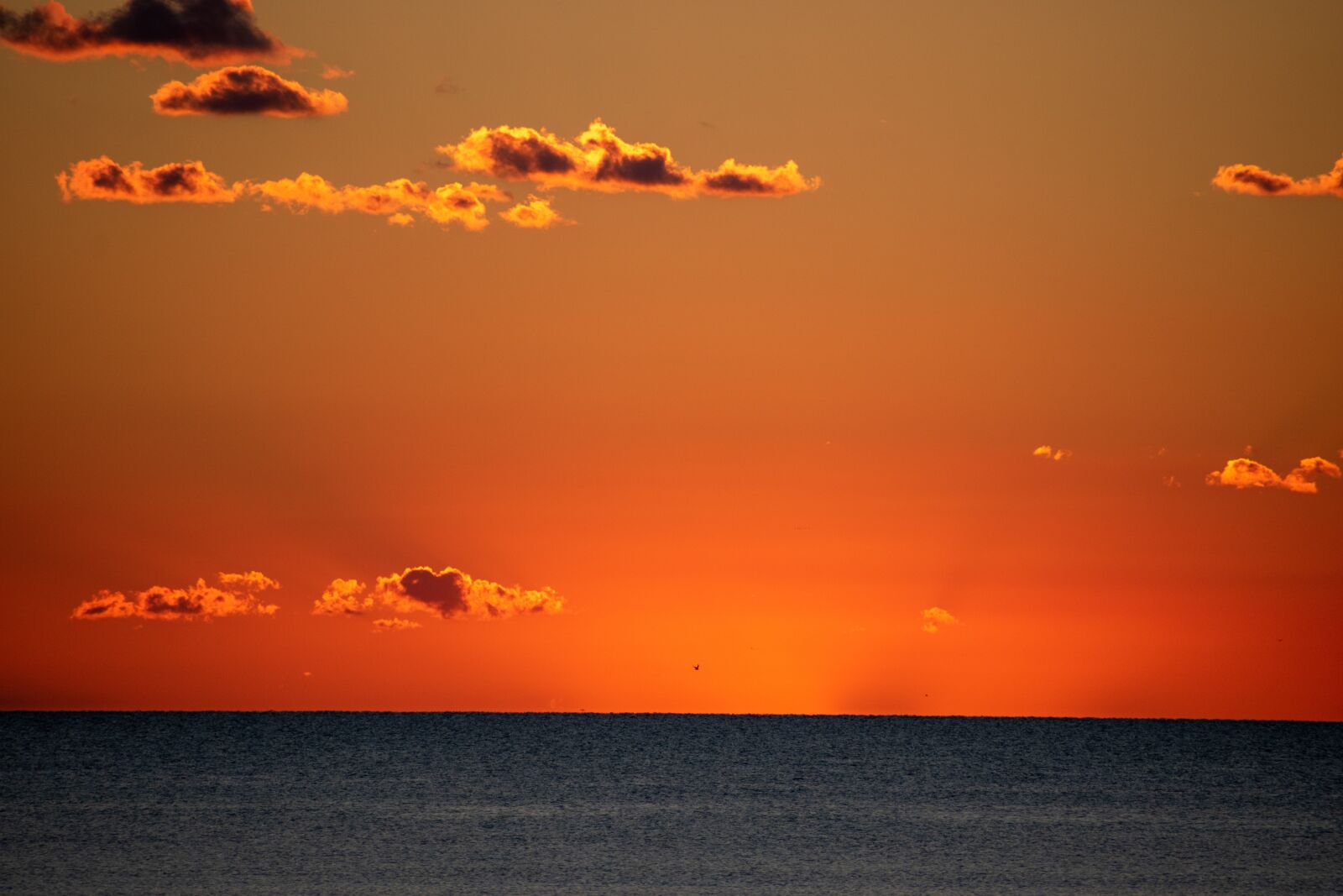 Nikon D5600 sample photo. Golden hour, sunset, horizon photography