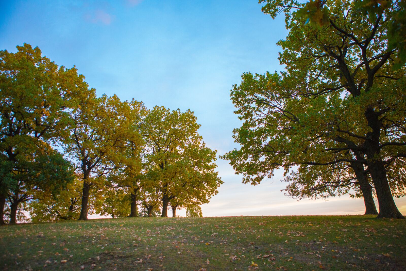 Canon EF 24-70mm F2.8L USM sample photo. Sky, romania, landscape photography