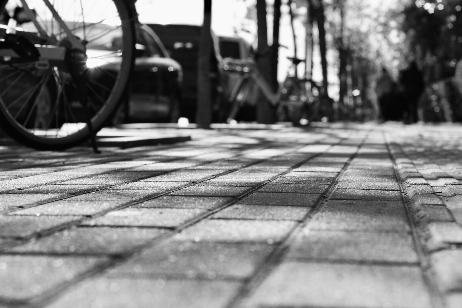 Canon EOS 1000D (EOS Digital Rebel XS / EOS Kiss F) sample photo. Sidewalk, bikes, bike photography
