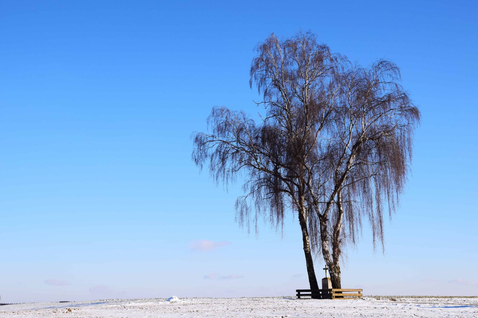 Nikon D3300 sample photo. Blue sky, daylight, landscape photography