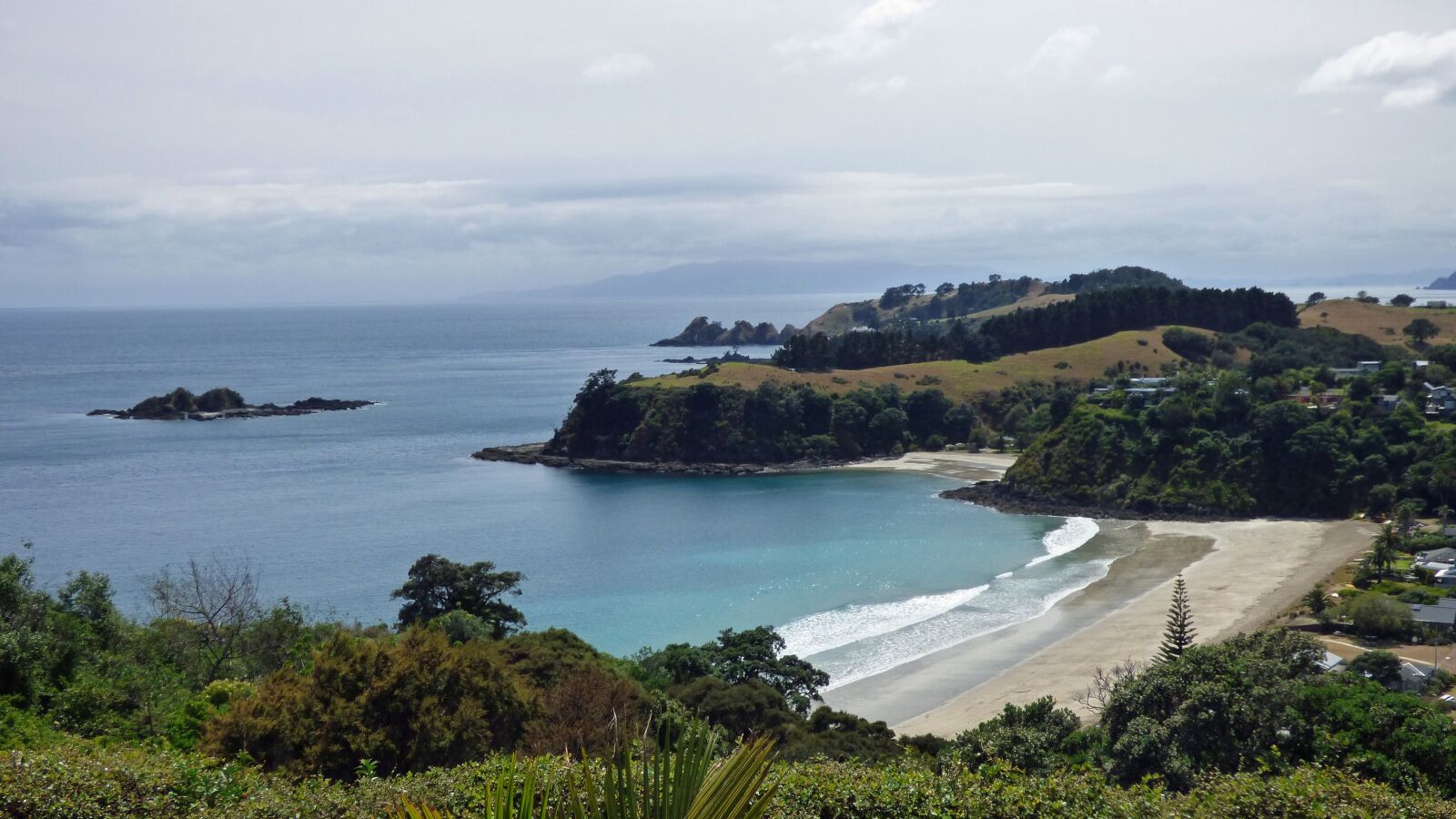 Panasonic Lumix DMC-FZ70 sample photo. Little palm beach, waiheke photography
