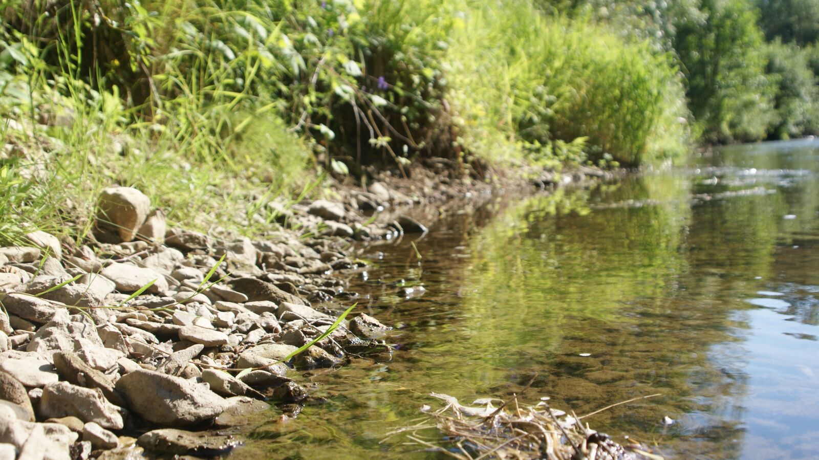 Sony Alpha DSLR-A300 sample photo. River, beach, river bank photography