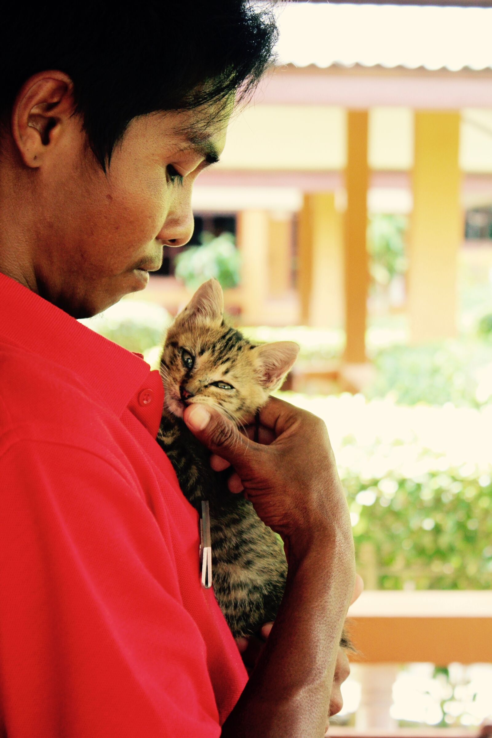 Canon EOS 600D (Rebel EOS T3i / EOS Kiss X5) sample photo. Cat, kitten, cat baby photography