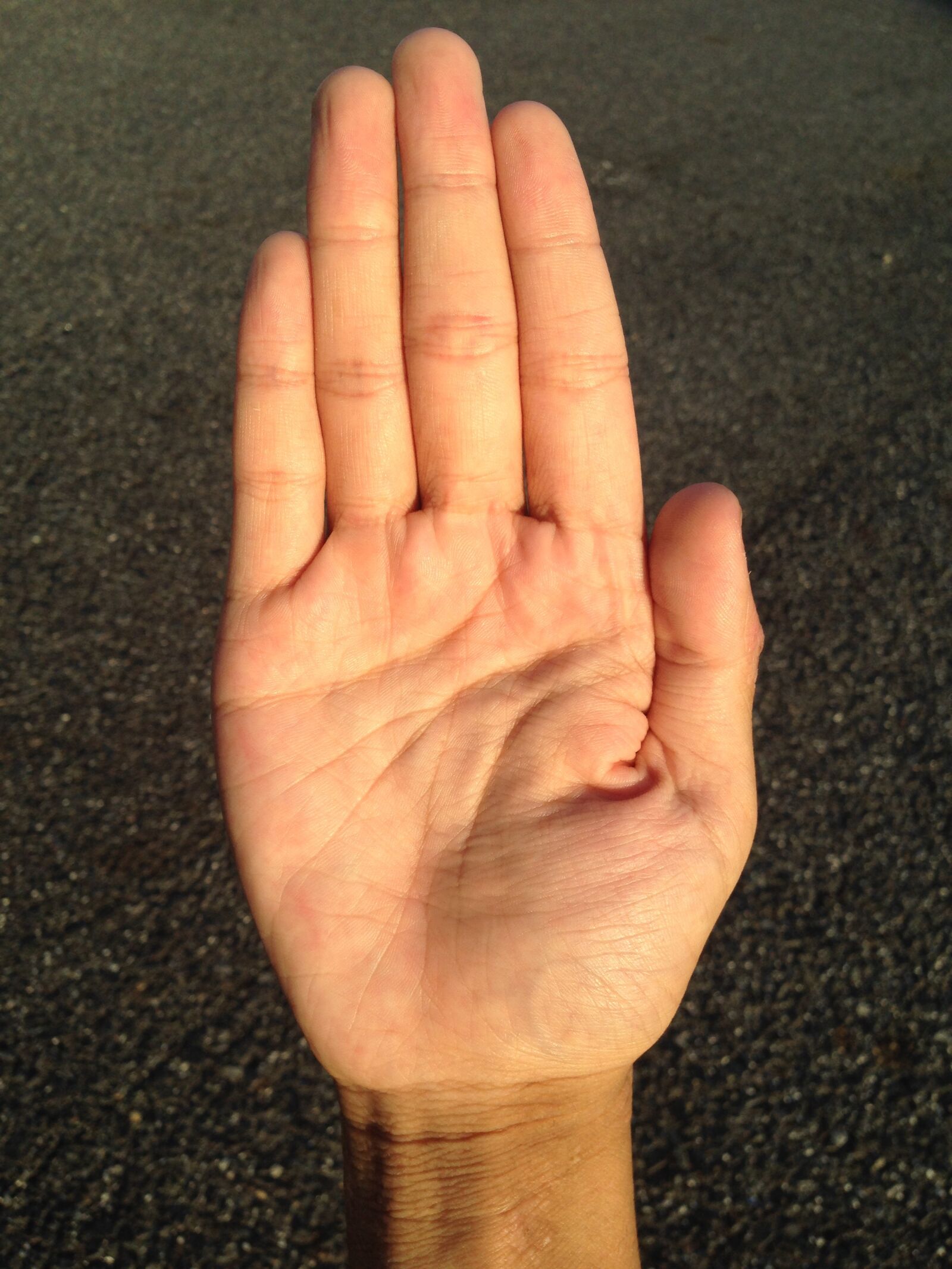 iPhone 5 back camera 4.12mm f/2.4 sample photo. Palm, hand, finger photography