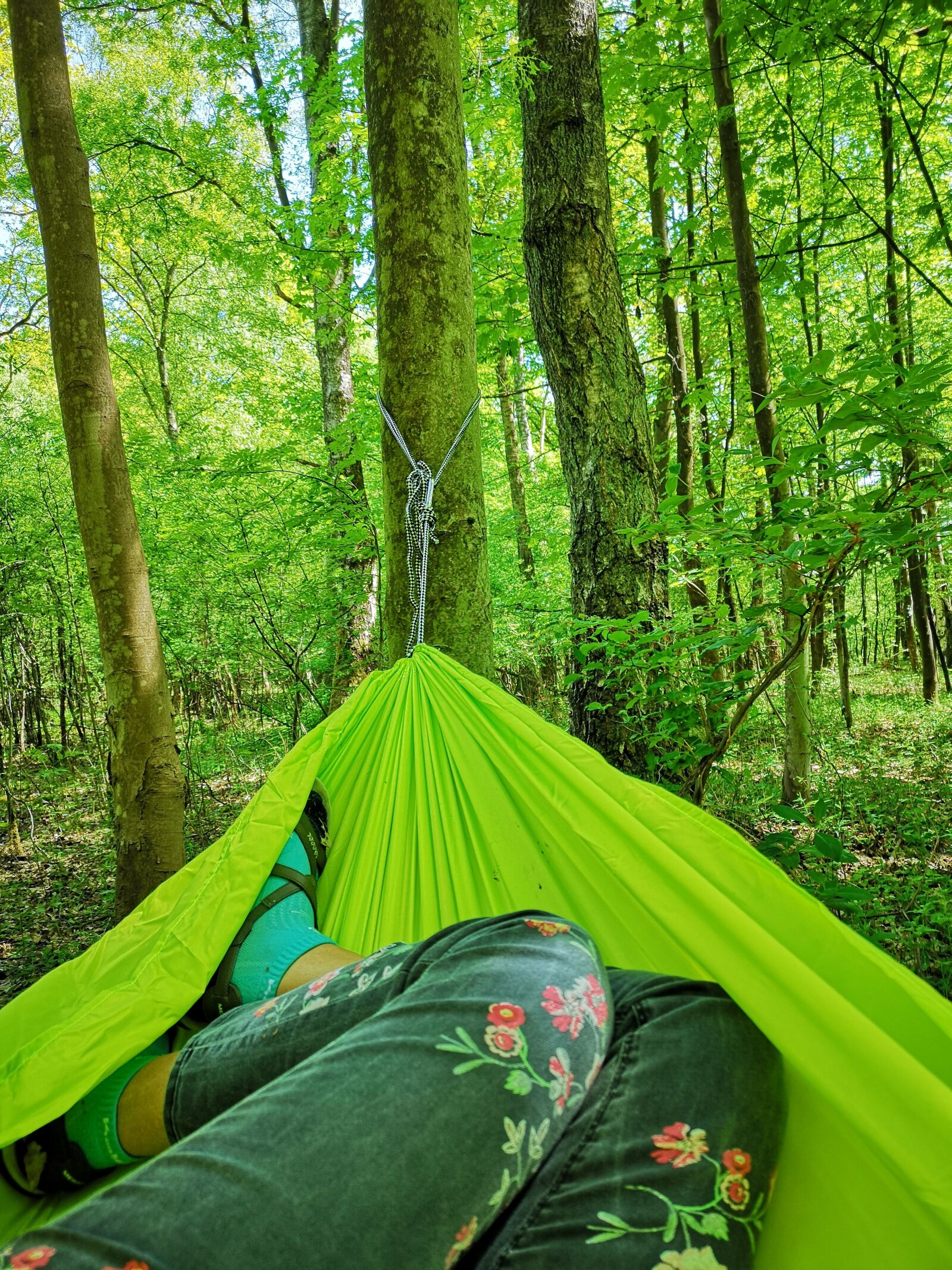 HUAWEI CLT-L29 sample photo. Nature, hammock, relaxation photography