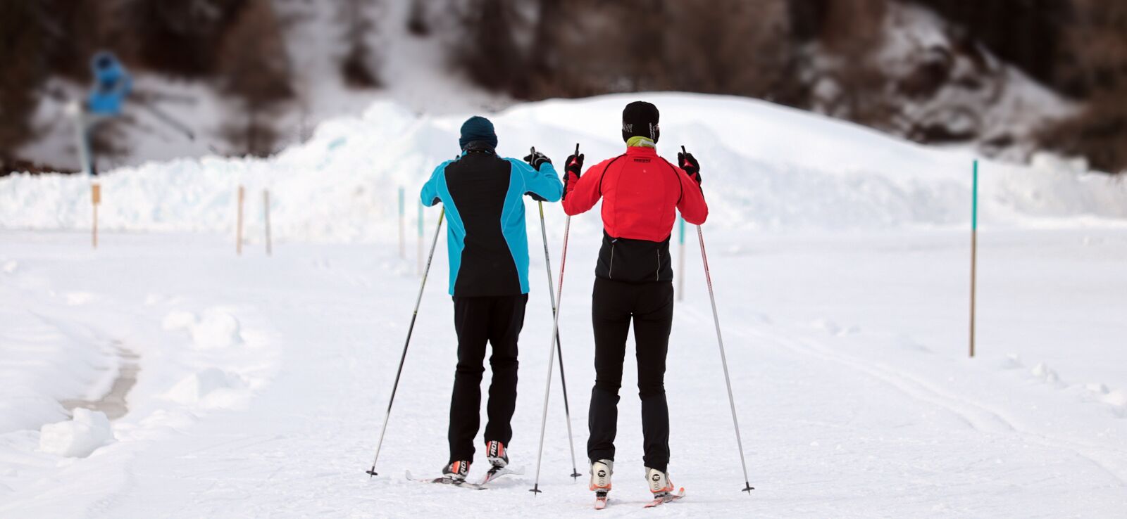 Canon EF-S 55-250mm F4-5.6 IS STM sample photo. Skilanglauf, sport, leisure photography