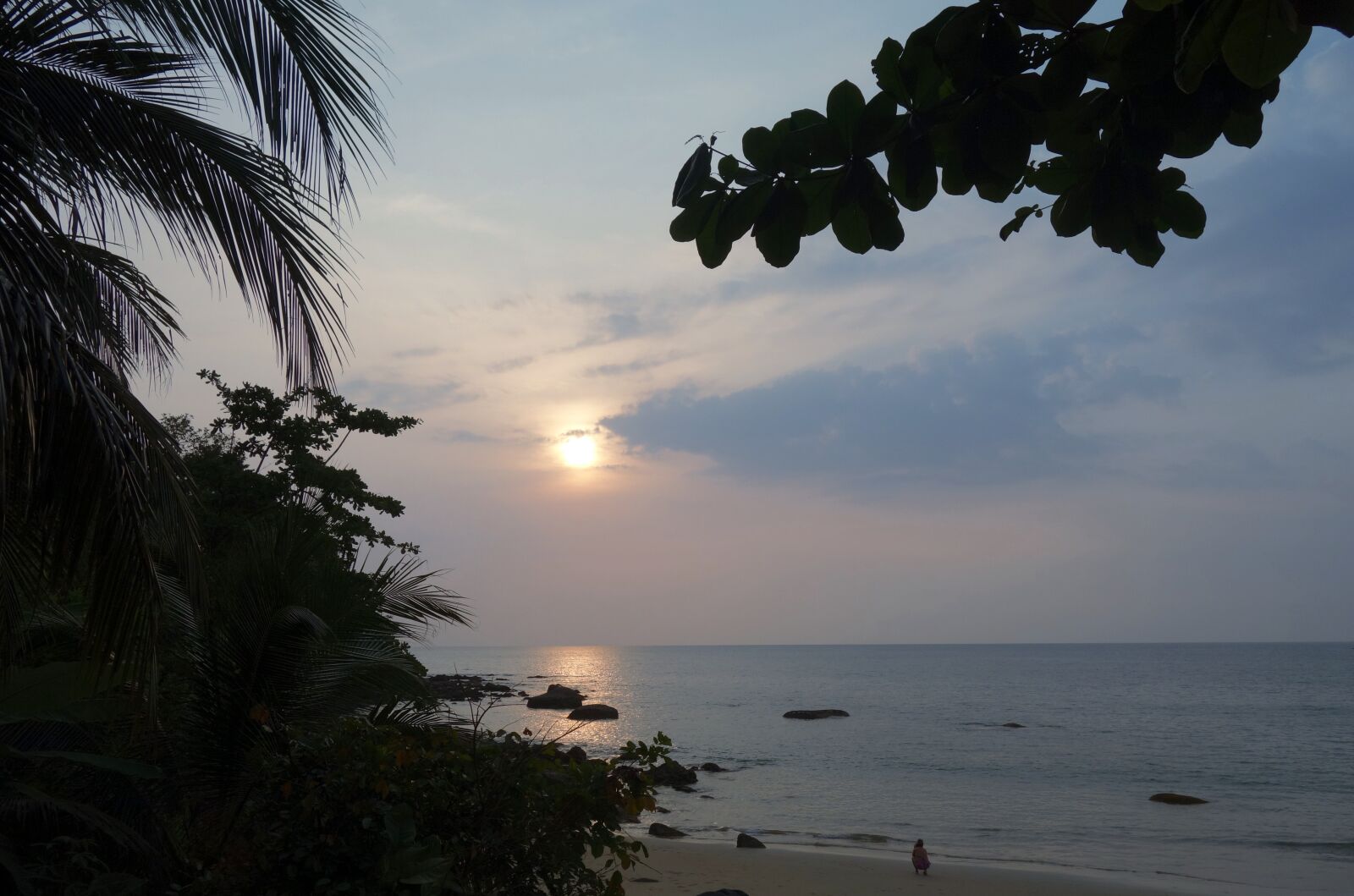 Sony Cyber-shot DSC-RX100 sample photo. Sunset, tropics, palm trees photography