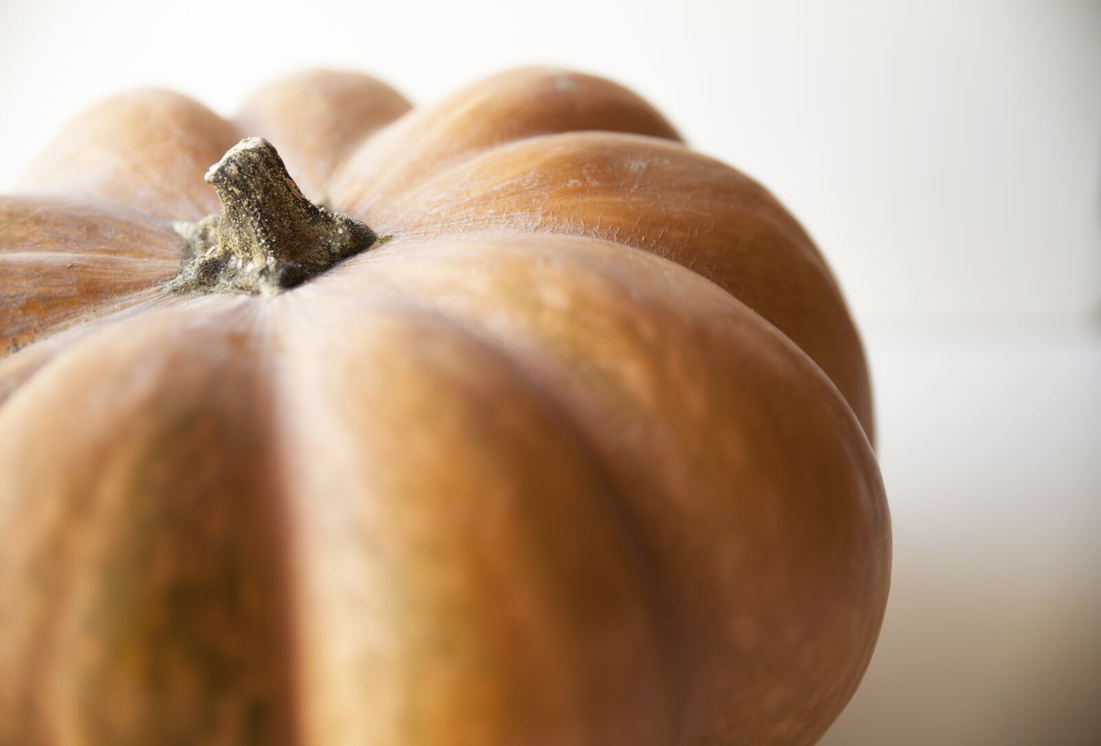 Canon EOS 5D Mark II sample photo. Pumpkin, vegetable, stem photography