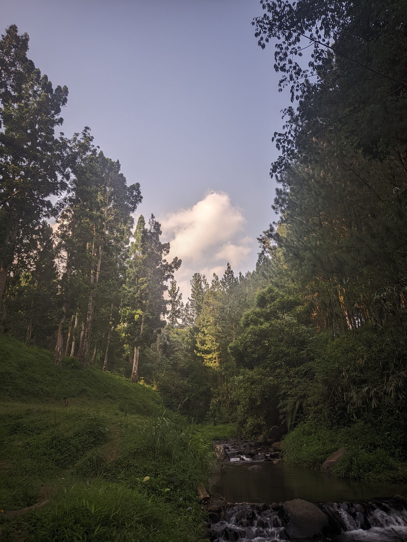 Xiaomi Redmi Note 8 sample photo
