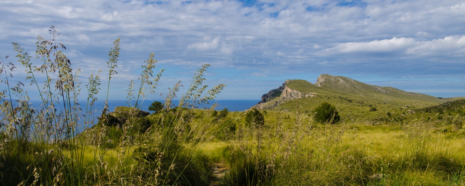 Nikon D7000 sample photo. Mountains, mallorca, travel photography