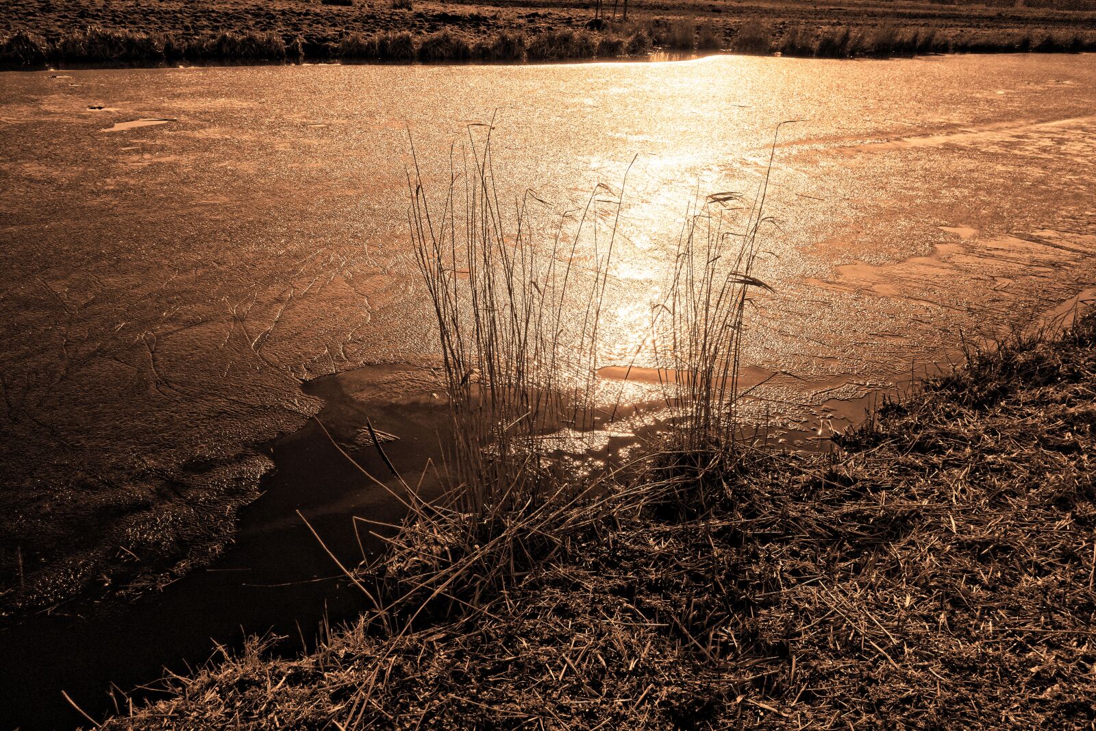 Sony Cyber-shot DSC-RX100 sample photo. Water course, frozen, ice photography