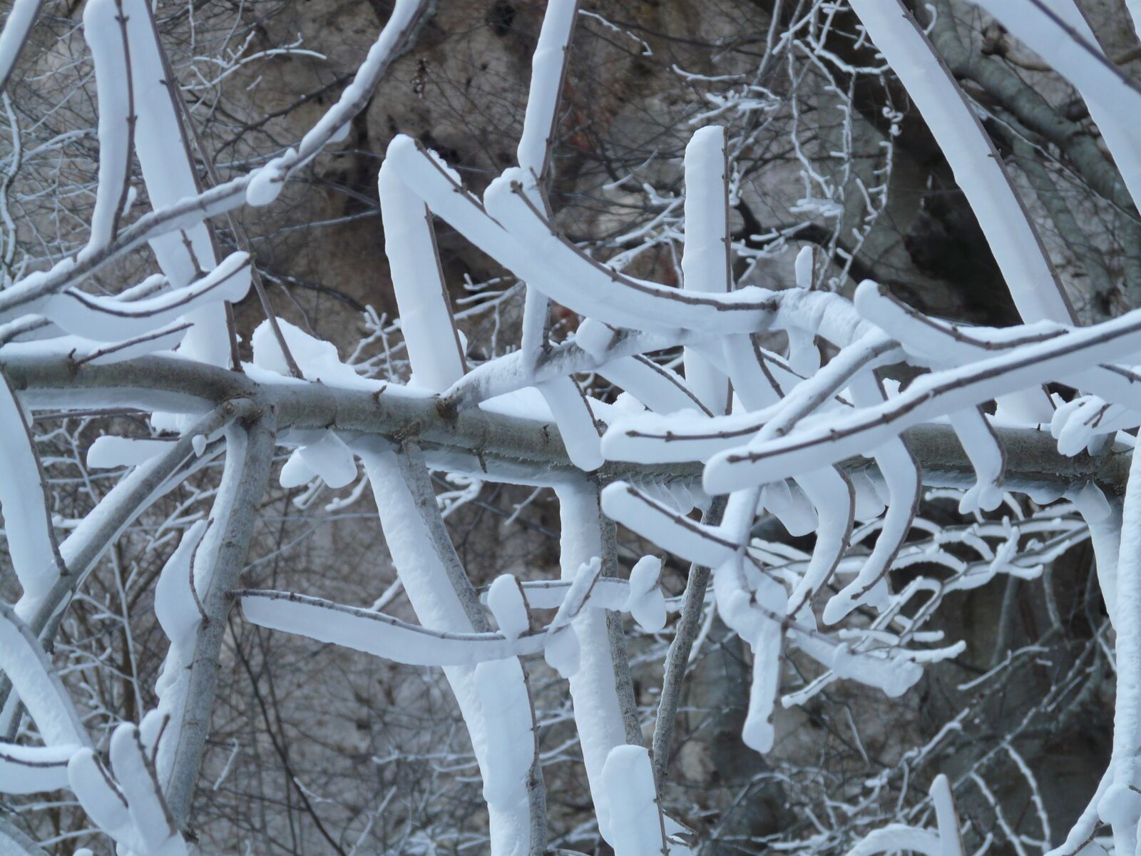 Panasonic DMC-FZ18 sample photo. Aesthetic, iced, ice photography