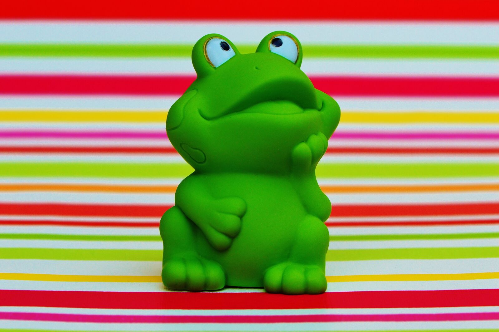 Nikon D3200 sample photo. Frog, rubber, funny photography