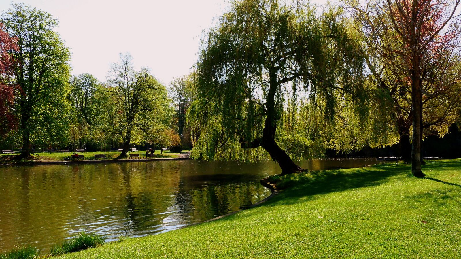 Panasonic Lumix DMC-FZ200 sample photo. Nature, france, strasbourg photography