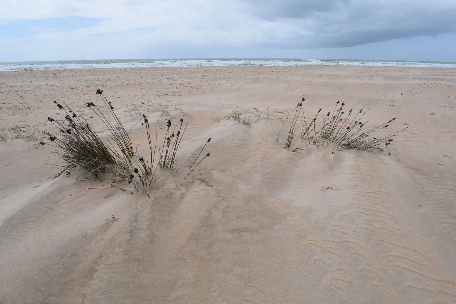 Nikon D3300 sample photo. Sand, nature, dune photography