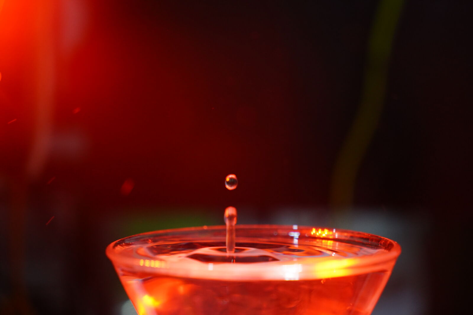 Sony a7 III sample photo