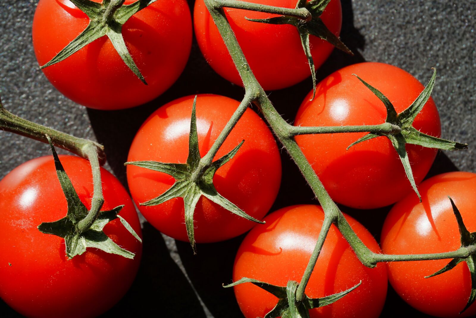 Sony a6000 sample photo. Tomatoes, red, healthy photography