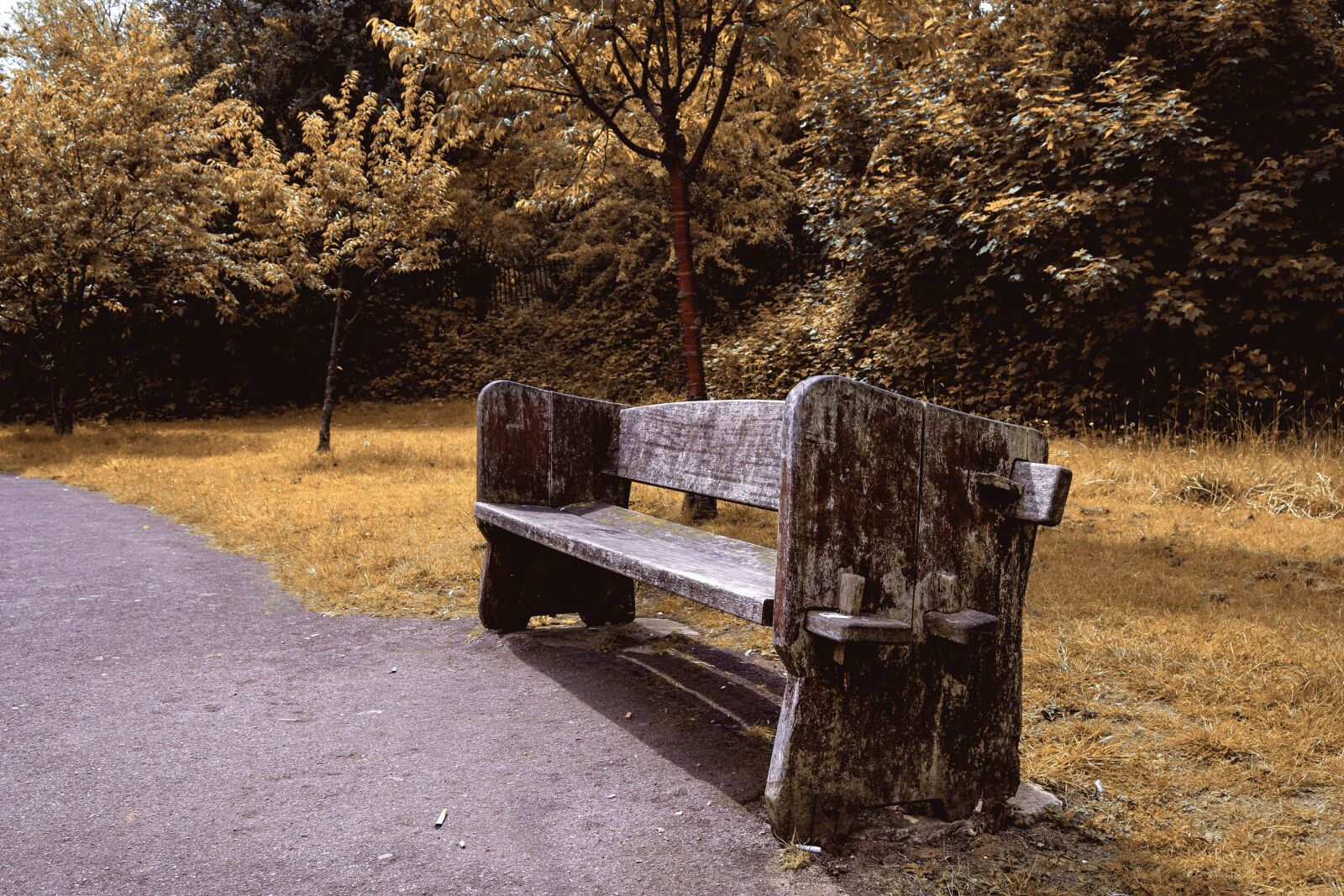 Nikon D3300 sample photo. Bench, park, wooden bench photography