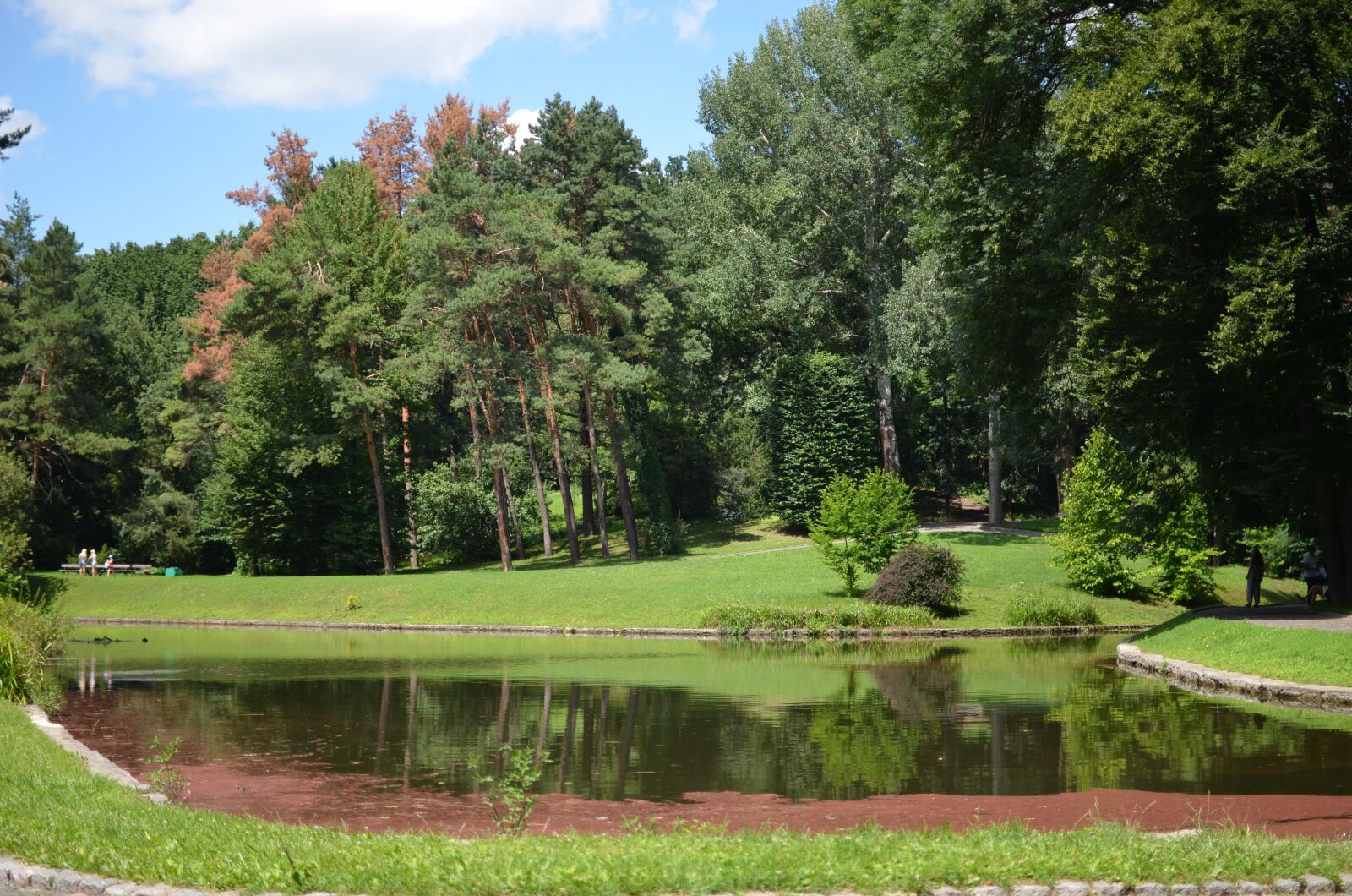 Nikon D5100 sample photo. Park, nature, green photography