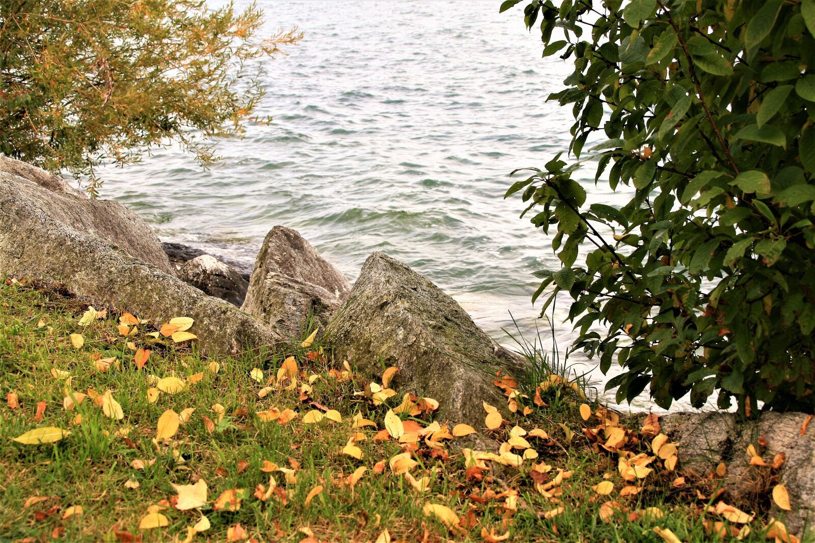 Canon EOS 400D (EOS Digital Rebel XTi / EOS Kiss Digital X) sample photo. Lake, beach, autumn photography