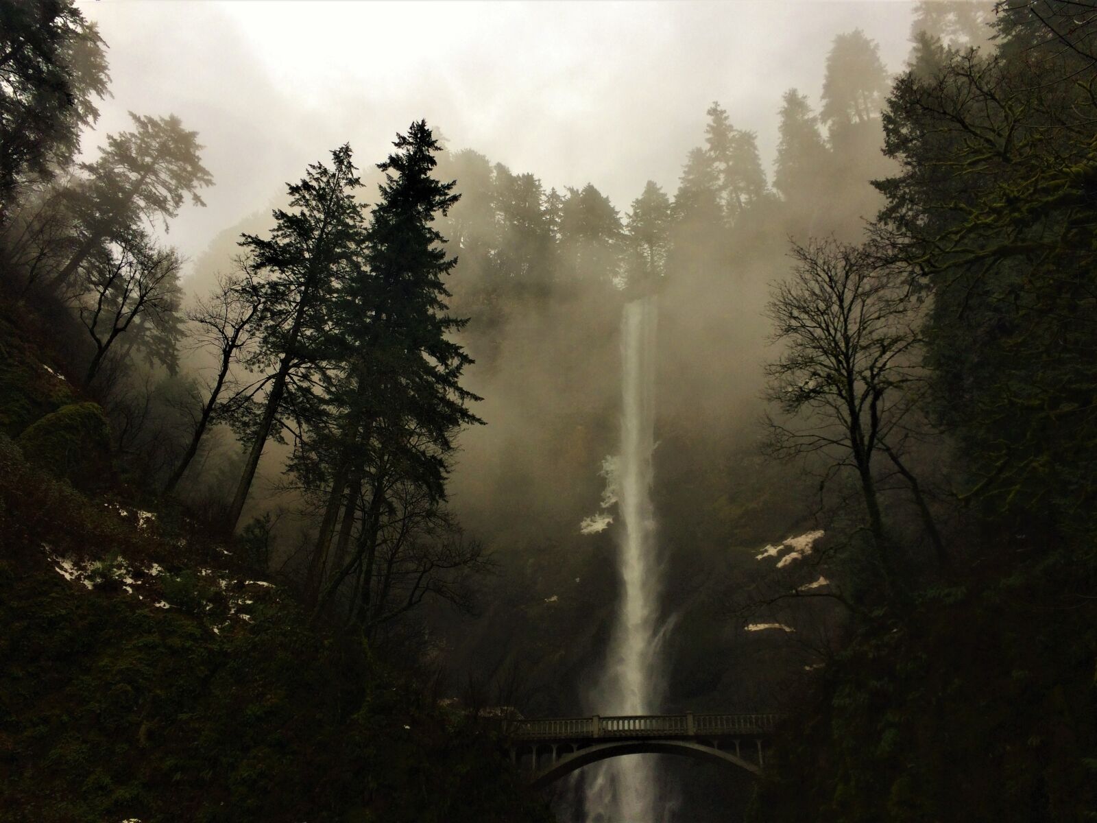 iPhone 5s back camera 4.15mm f/2.2 sample photo. Multnomah, oregon, misty photography