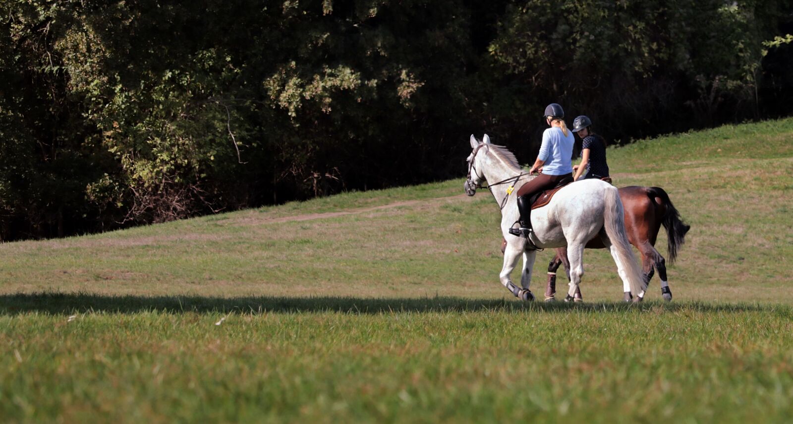 Canon EF-S 55-250mm F4-5.6 IS STM sample photo. Ride, riding, reiter photography
