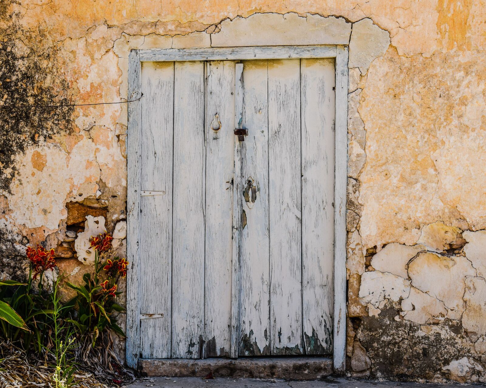 Nikon D3300 sample photo. Door, old, aged photography