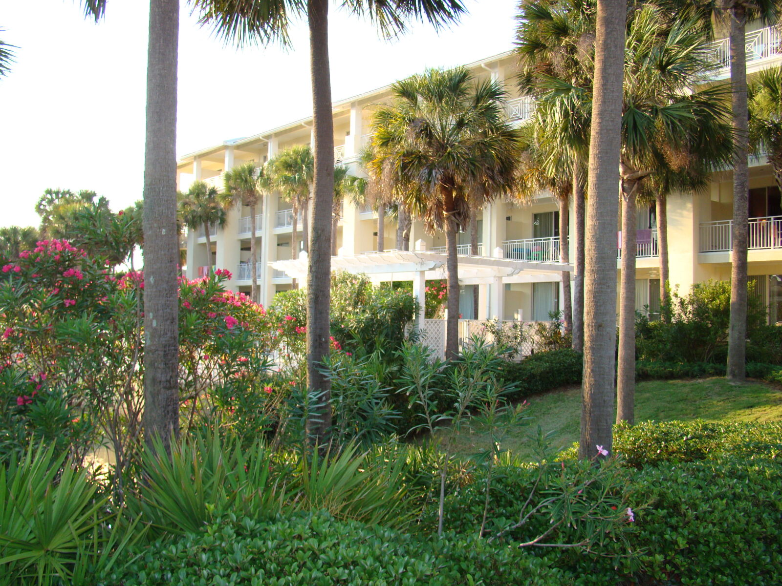 Sony Cyber-shot DSC-H50 sample photo. Santa, rosa, beach photography