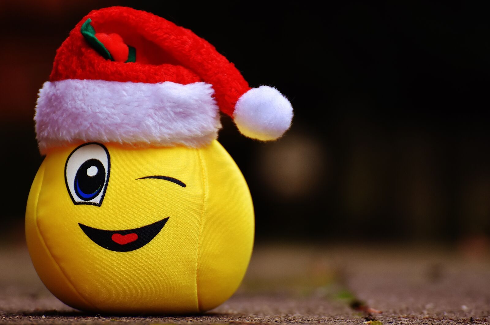 Nikon D7200 sample photo. Christmas, smiley, funny photography
