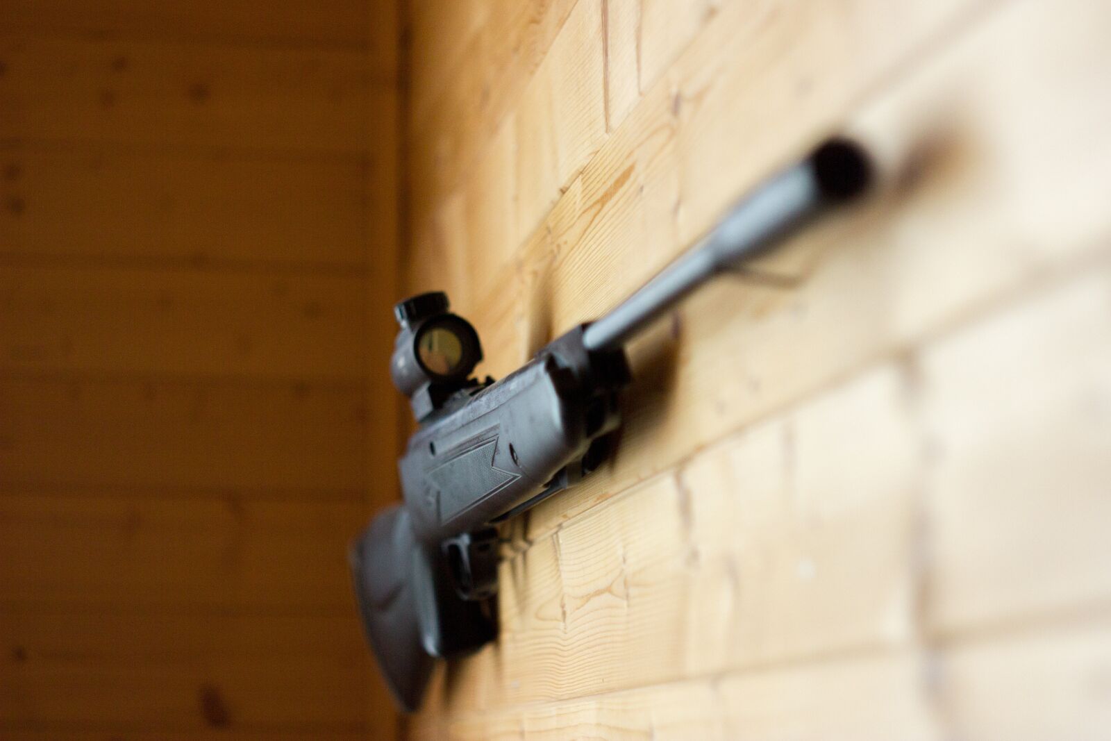Canon EOS 550D (EOS Rebel T2i / EOS Kiss X4) sample photo. Gun, hunting, weapons photography