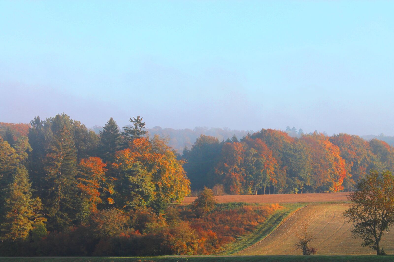 Canon EOS 1100D (EOS Rebel T3 / EOS Kiss X50) sample photo. Autumn, landscape, mood photography
