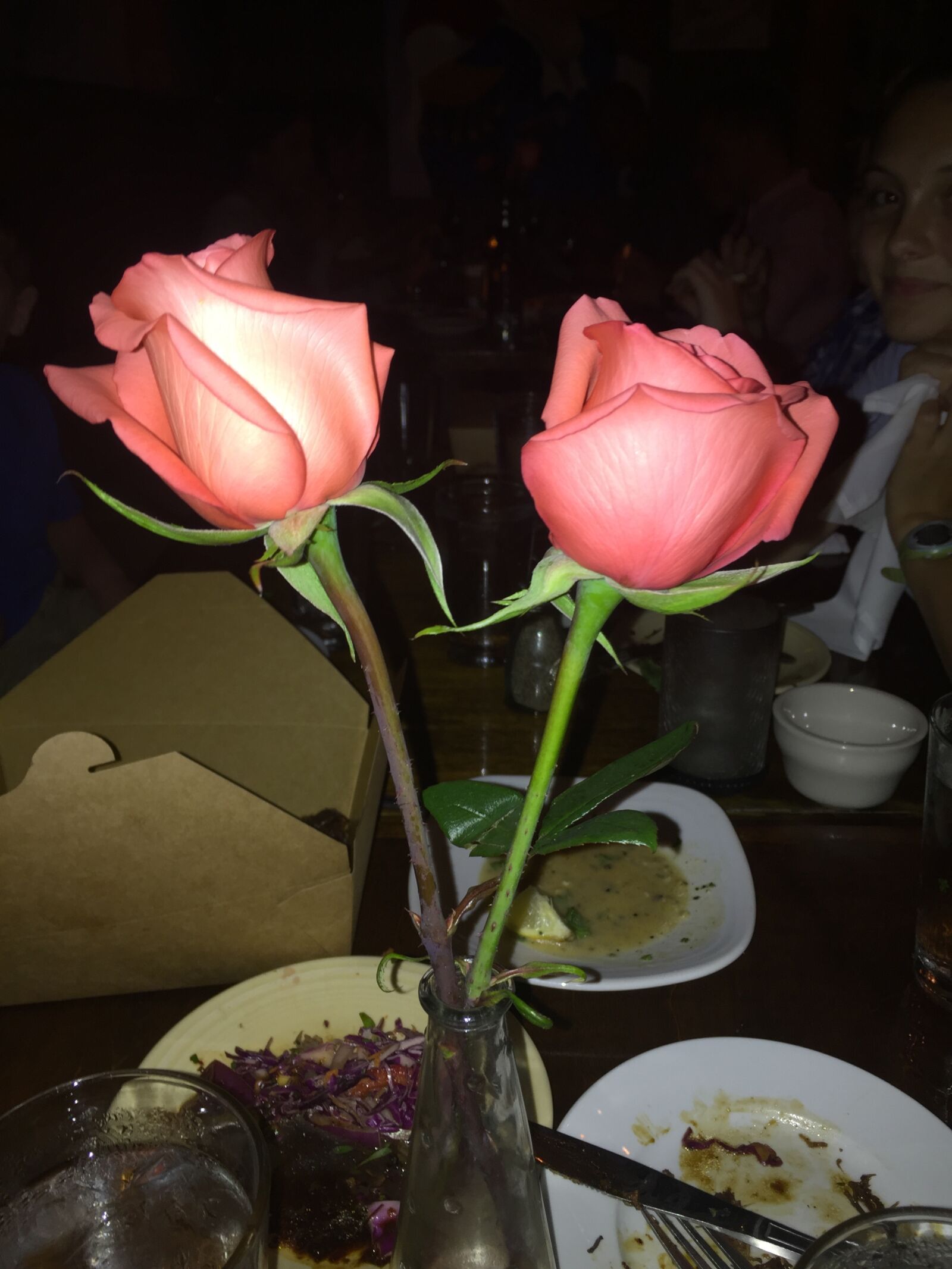 Apple iPhone 6 sample photo. Roses photography
