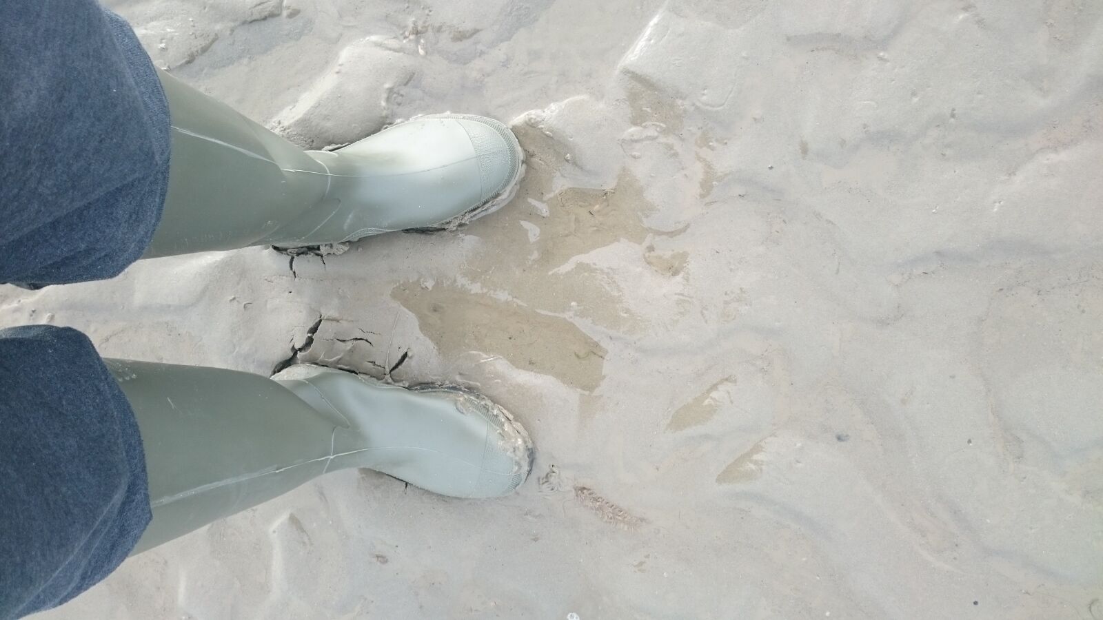 Sony Xperia Z3 sample photo. Feet, sea, watts photography