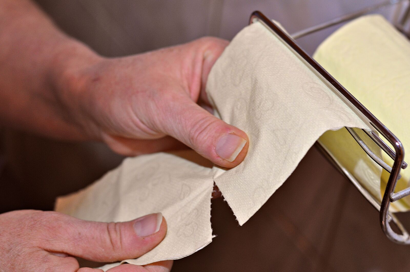 Nikon D90 sample photo. Toilet paper, toilet, loo photography
