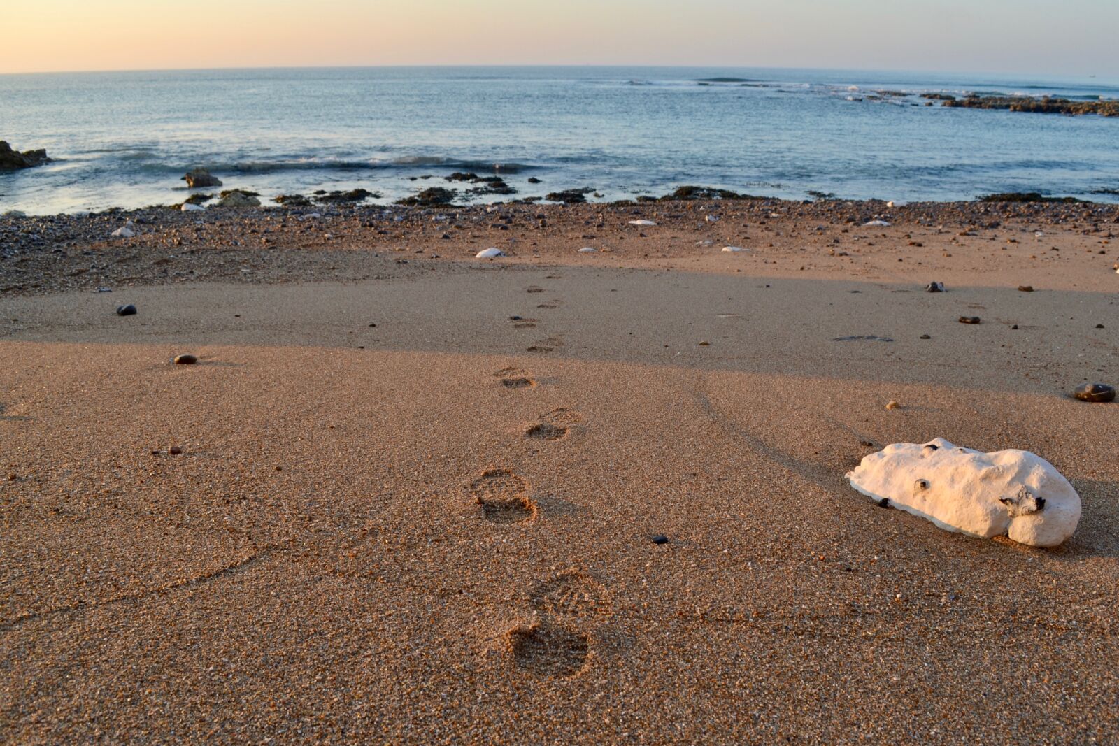 Nikon D3100 sample photo. Footprints, beach, sand photography