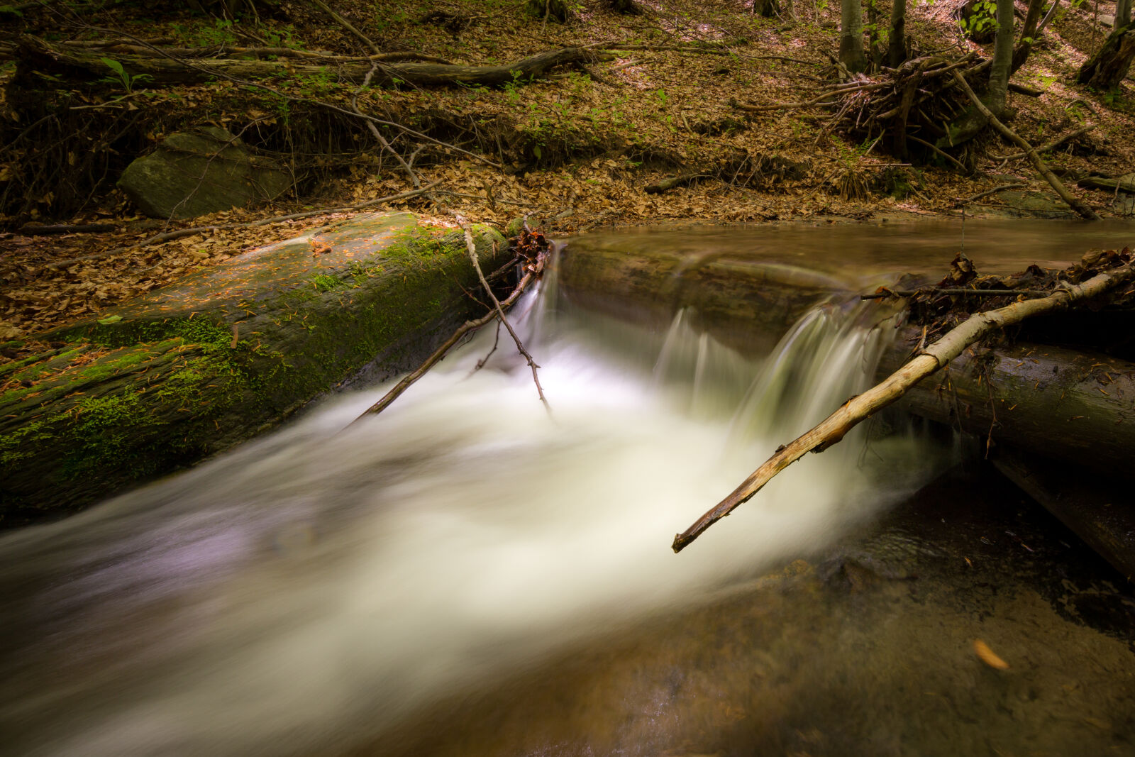 Tokina AT-X Pro 11-16mm F2.8 DX sample photo. Creek, environment, fall, flow photography