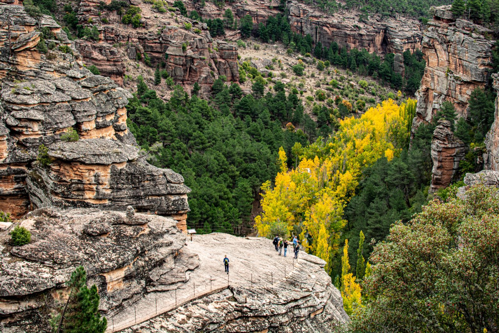 Nikon D7100 sample photo. Rock, trees, nature photography