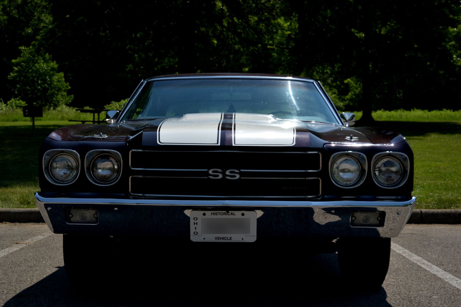 Nikon D3300 sample photo. Chevy, chevrolet chevelle, chevelle photography
