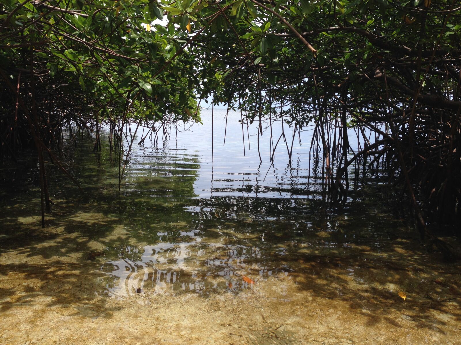 iPhone 5 back camera 4.12mm f/2.4 sample photo. Beach, sea, paradise photography