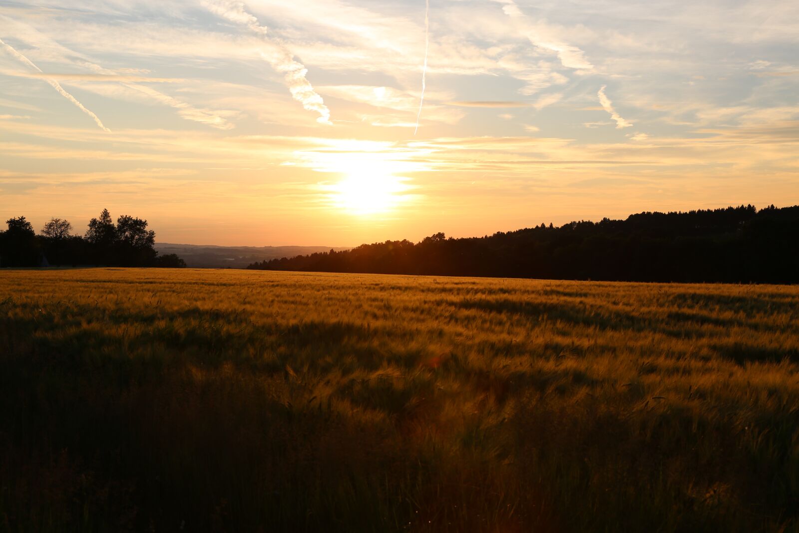 Canon EF 24-105mm F4L IS USM sample photo. Evening, sunset, sun photography