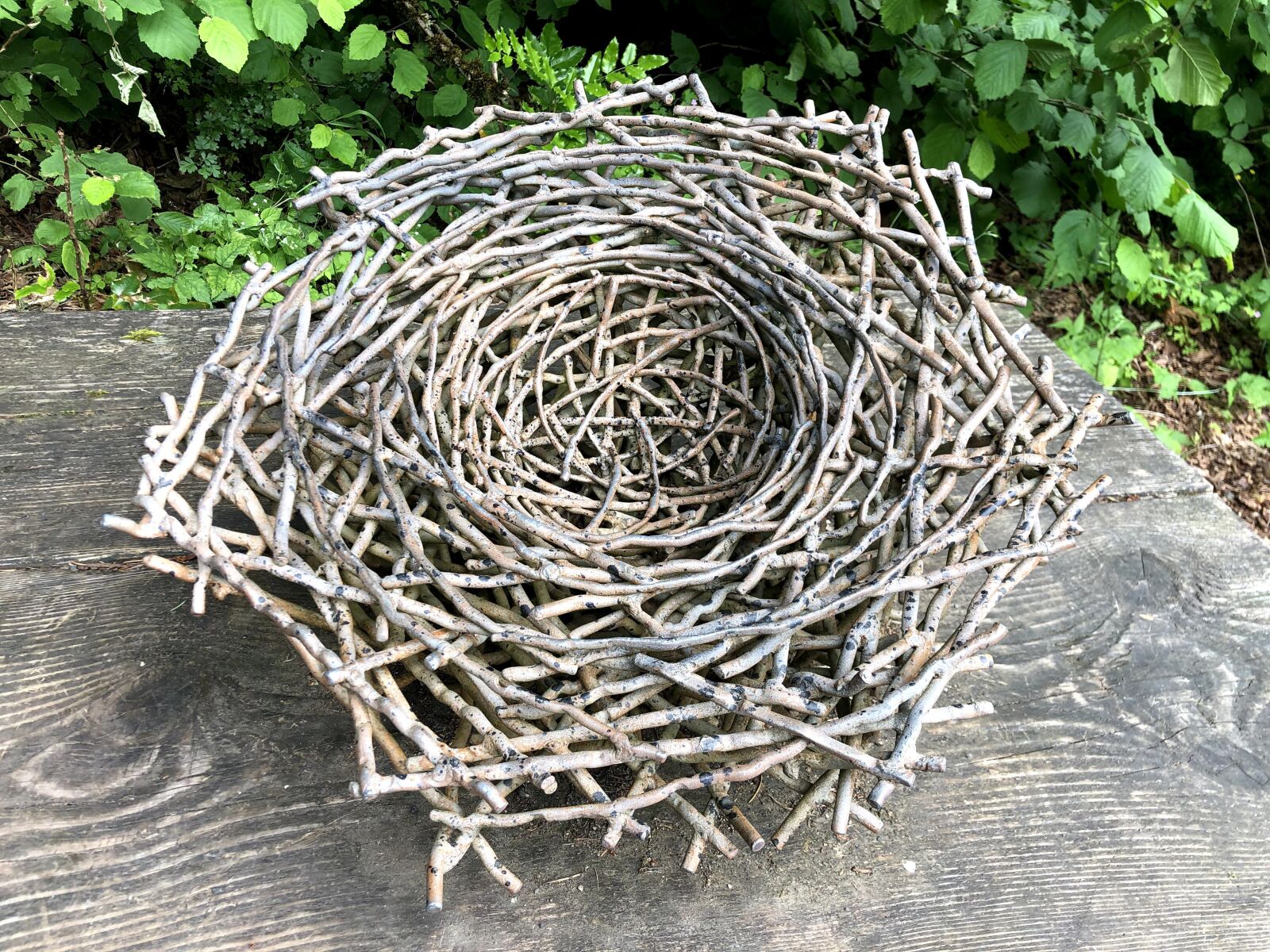 iPhone X back dual camera 4mm f/1.8 sample photo. Nest, scouter mountain, sculpture photography