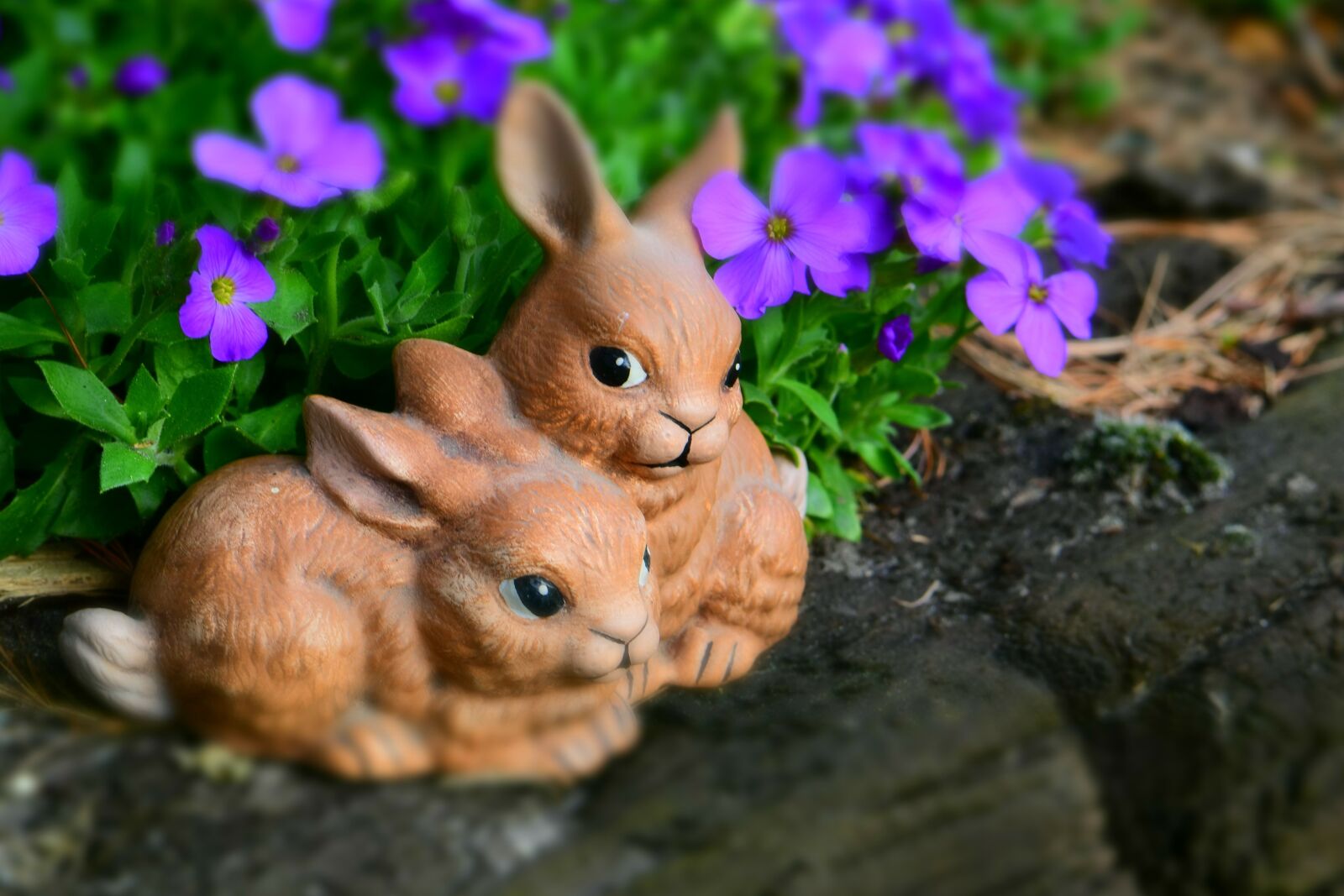 Nikon D5600 sample photo. Easter, easter bunny, figure photography