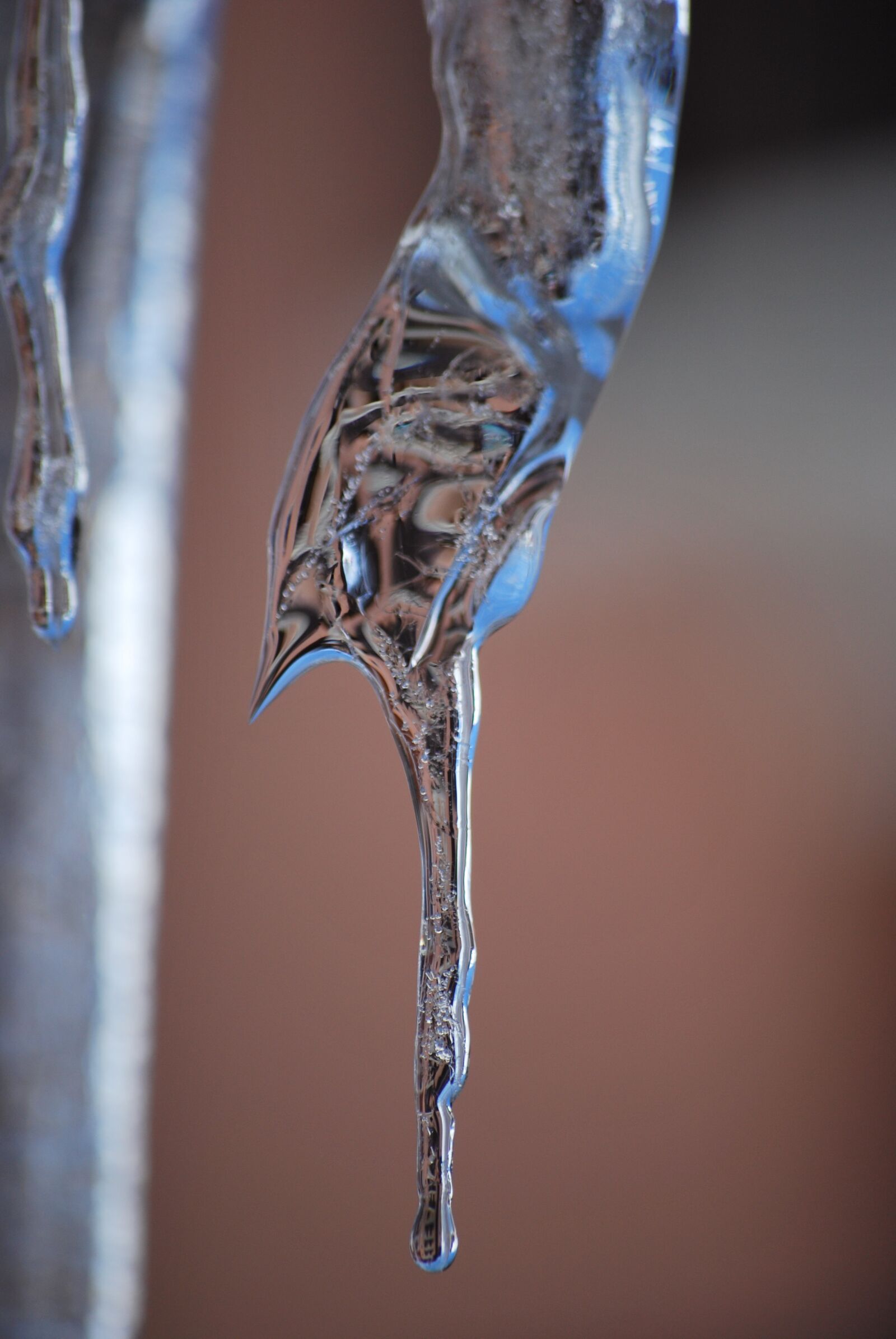 Nikon D60 sample photo. Icicle, ice, macro photography