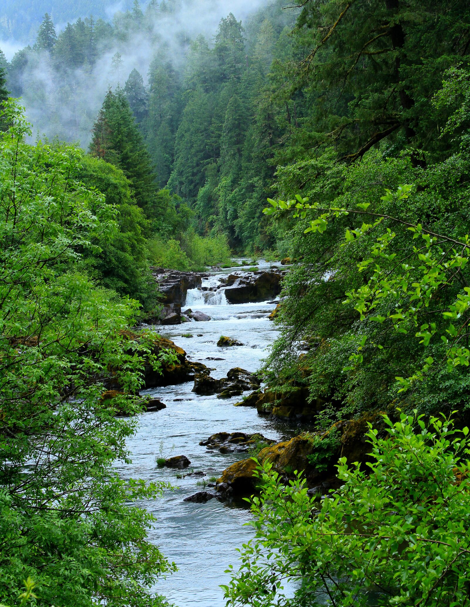 Canon EOS 7D sample photo. Oregon, water, landscape photography