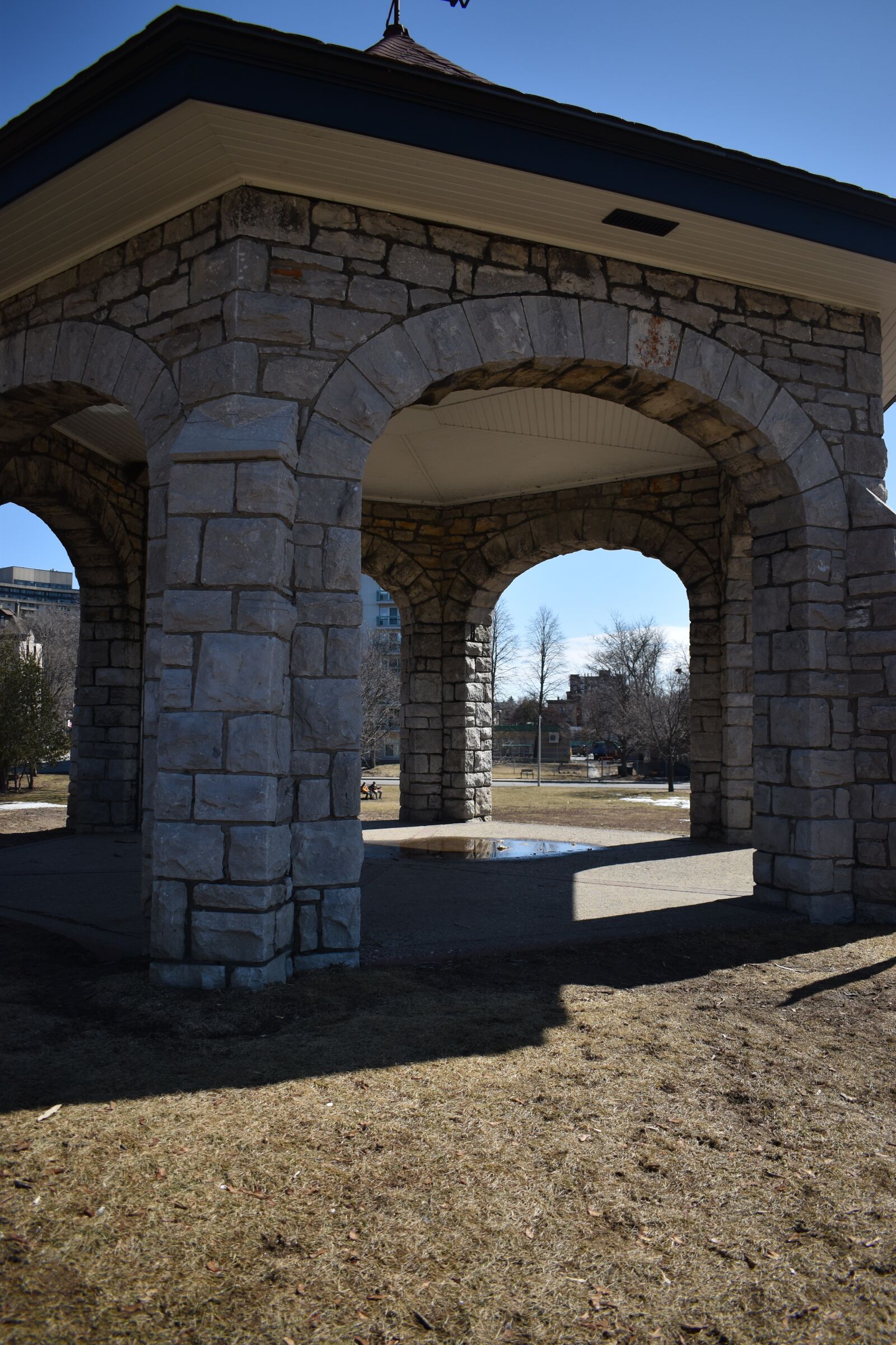 Nikon D3500 sample photo