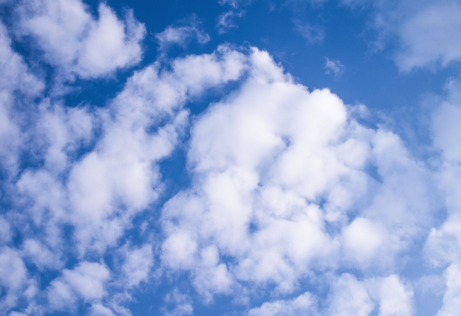 Nikon D5300 sample photo. Sky, clouds, blue photography
