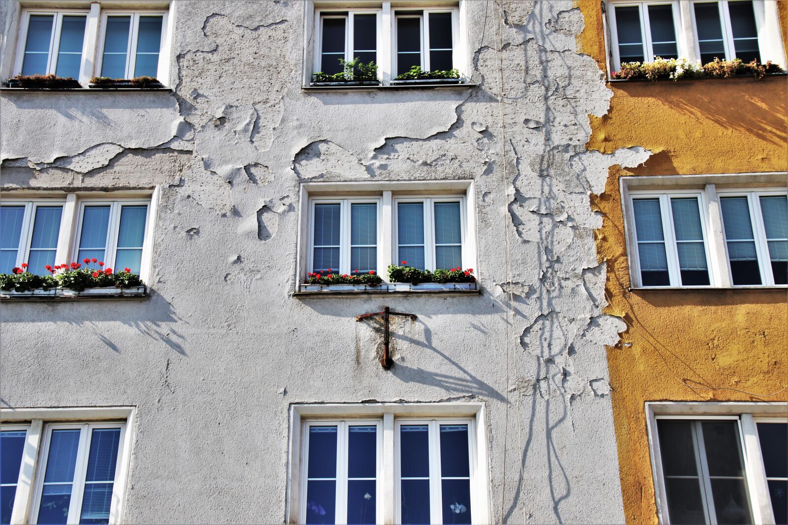 Canon EOS 80D sample photo. Facade, old plaster, wall photography