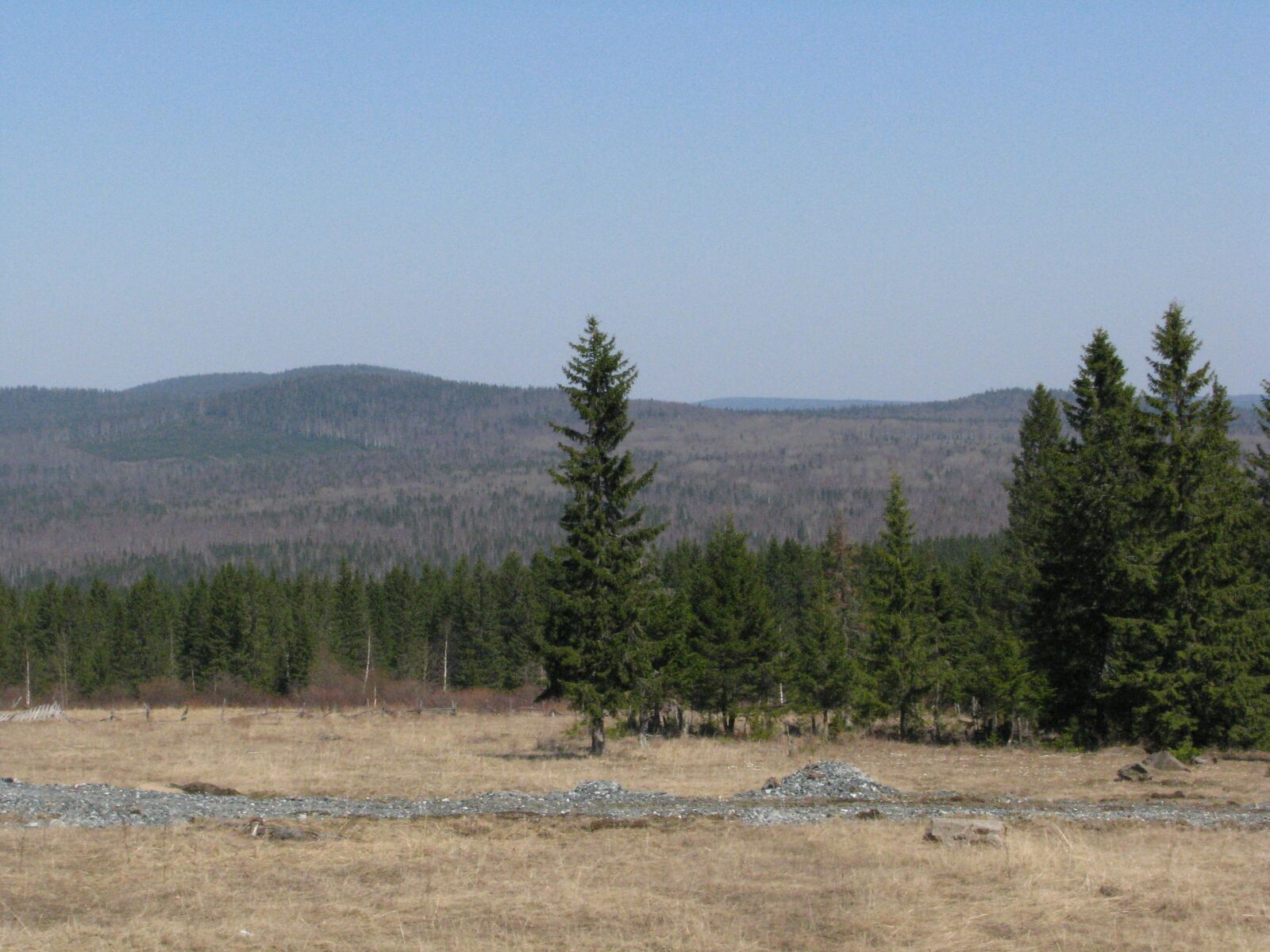 Canon POWERSHOT S5 IS sample photo. Open space, forest, hills photography