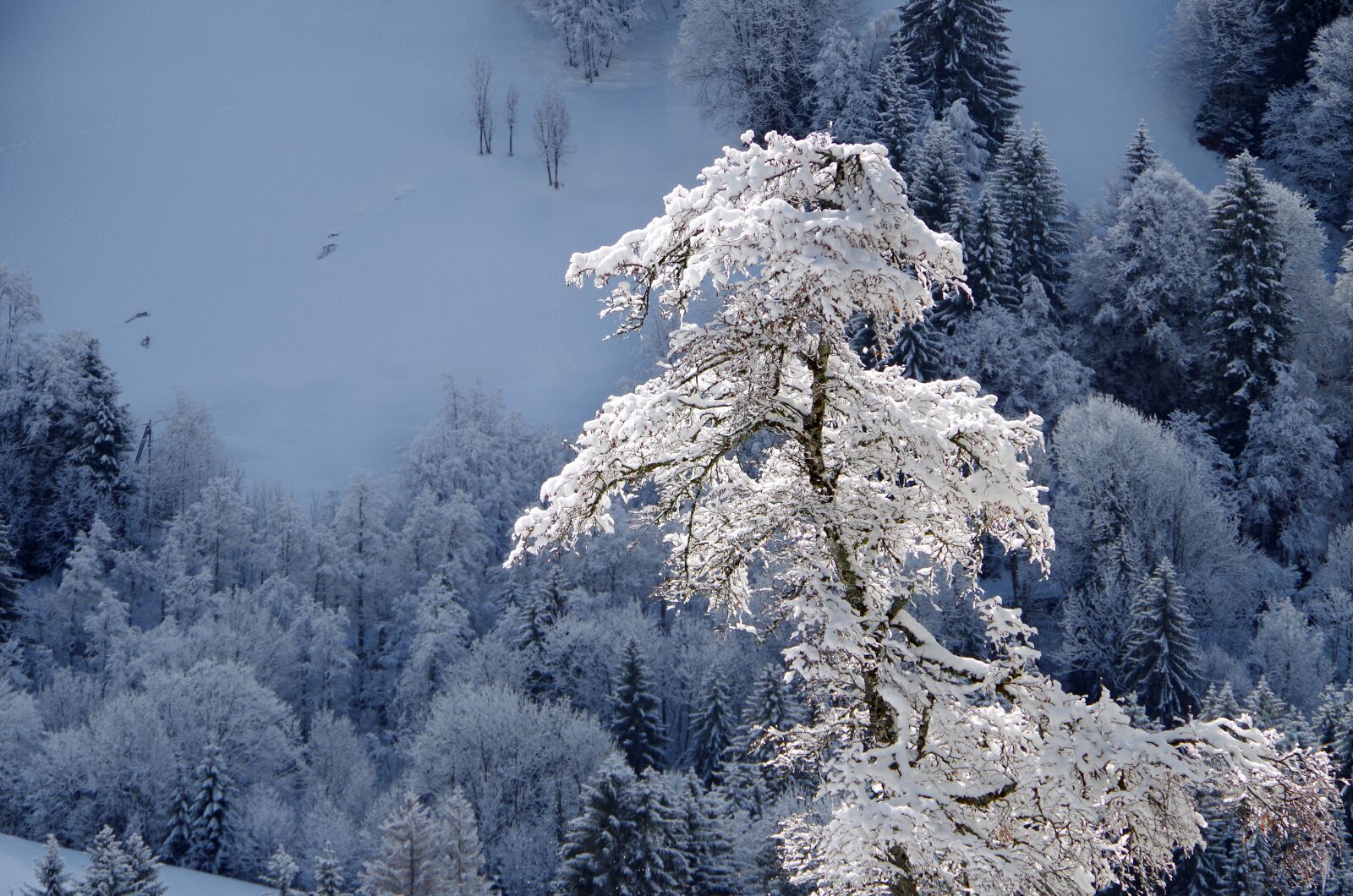 Pentax K-50 sample photo. Mountain, snow, winter photography
