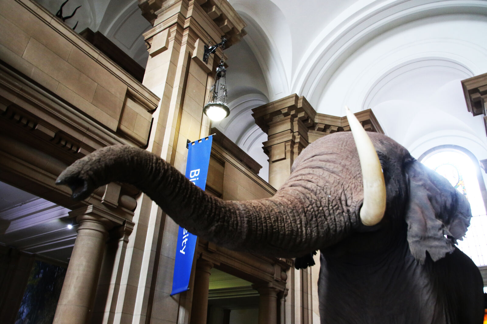 Canon EOS 7D Mark II sample photo. Africa, animals, arch, architecture photography